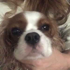 Meet your Posher, Cory